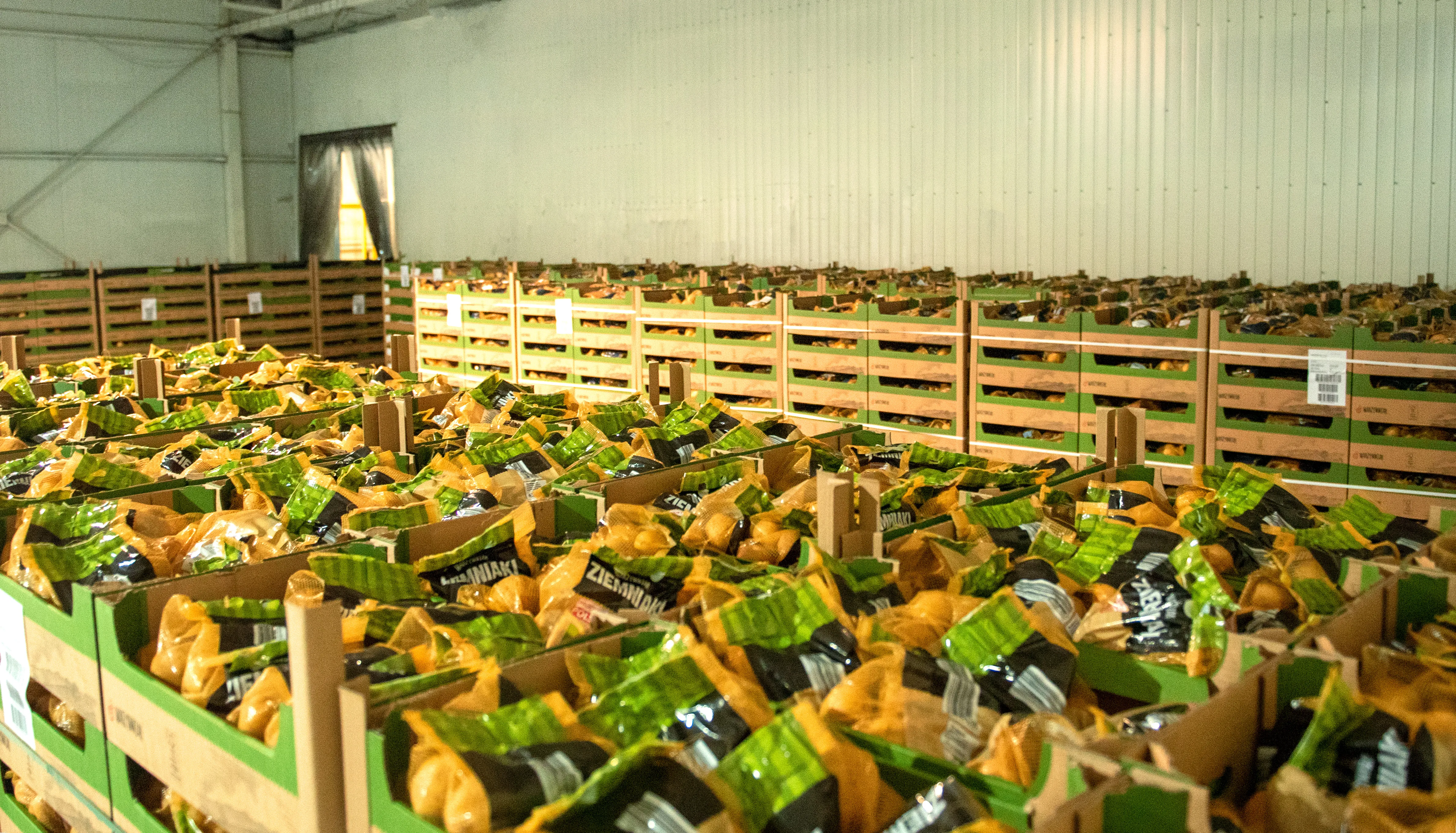 Magazyn Agrosadu pełny skrzynek gotowych ziemniaków spakowanych w paczki klienta