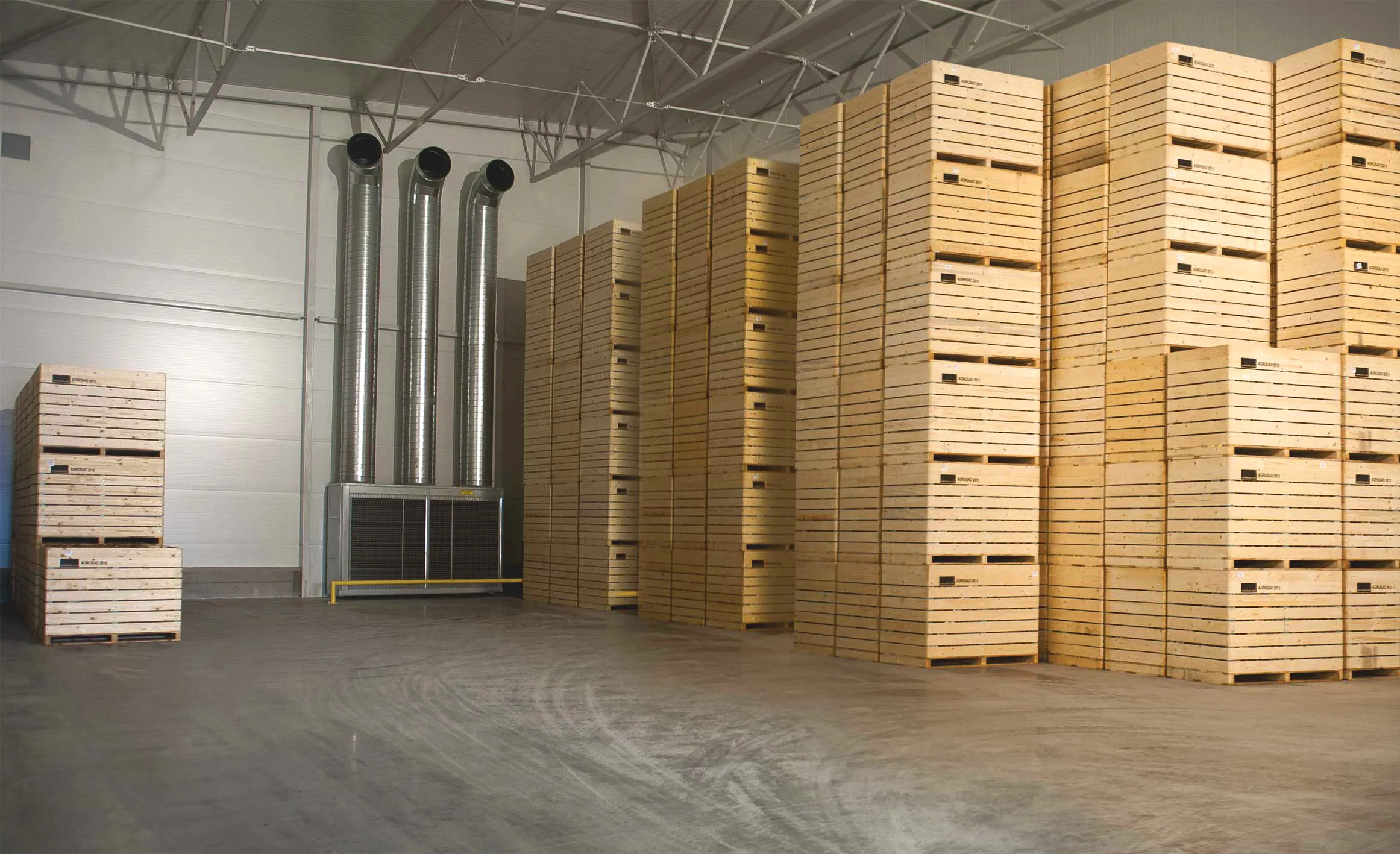 Suszarnia warzyw - wentylowana hala pełna skrzyń z warzywami